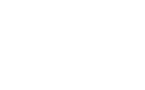 Wordpress Logo White